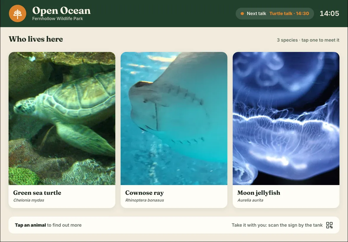An Open Ocean Live Label on an iPad, in Fernhollow Wildlife Park's colours: green sea turtle, cownose ray and moon jellyfish