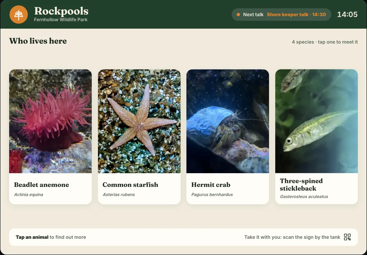 A Live Label for a Rockpools exhibit on an iPad: beadlet anemone, common starfish, hermit crab and stickleback