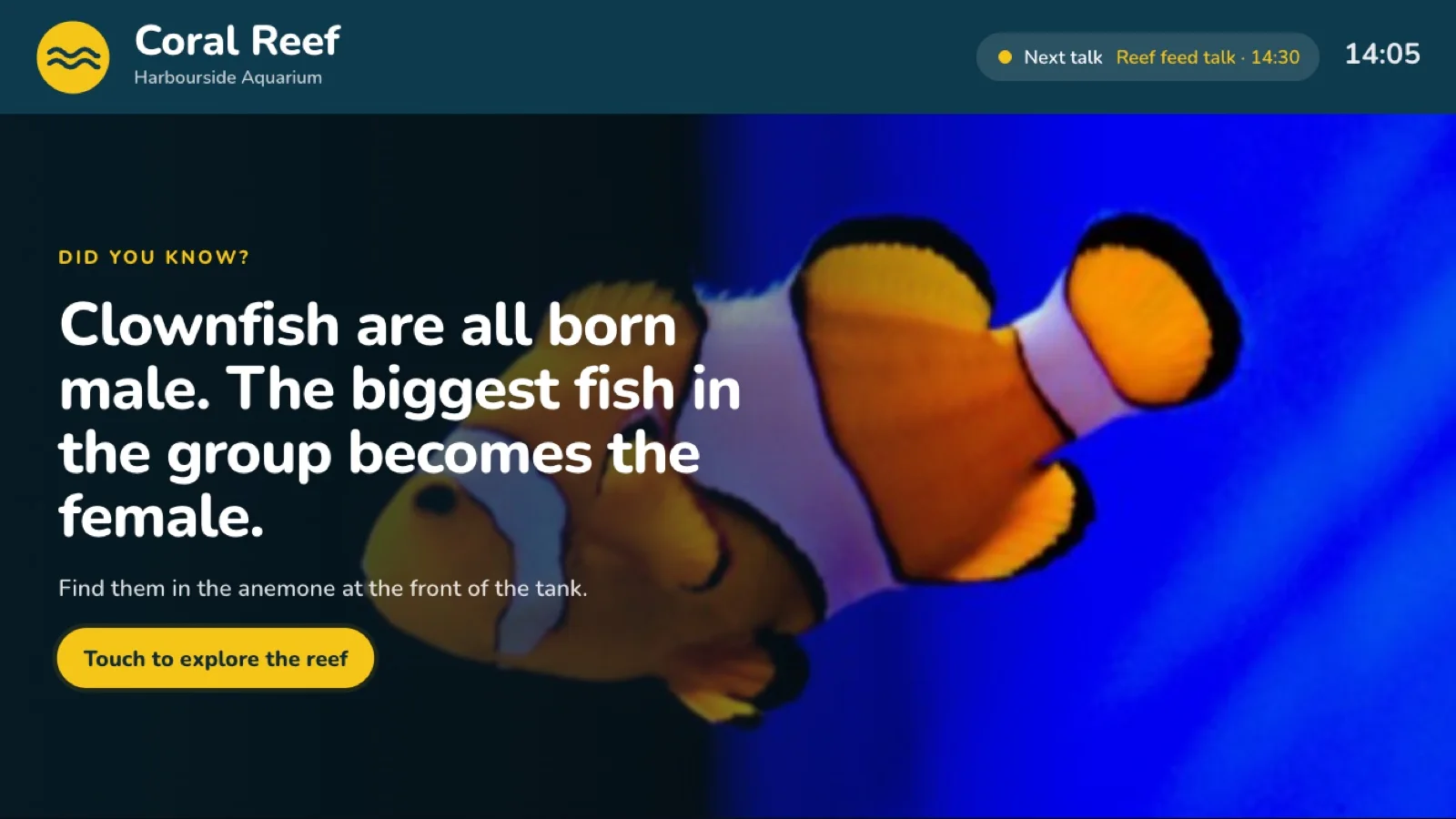 Attract loop on a wall TV: a clownfish fact over a full-screen photo, with a button to explore the reef