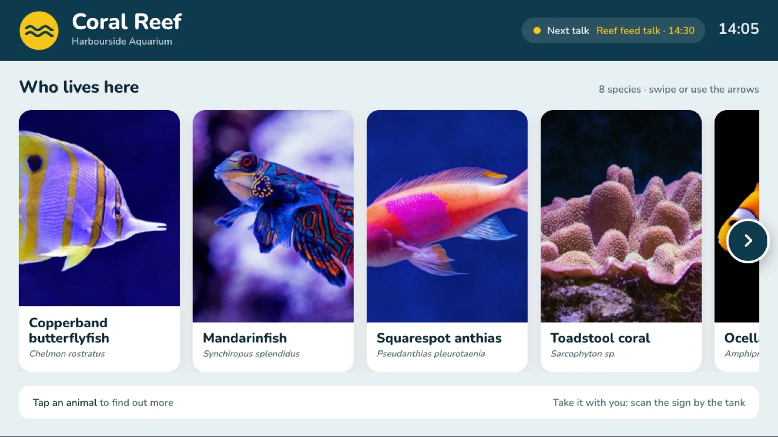 Field guide layout on a wall TV: the Coral Reef's species as a row of cards with arrows, in Harbourside Aquarium's colours