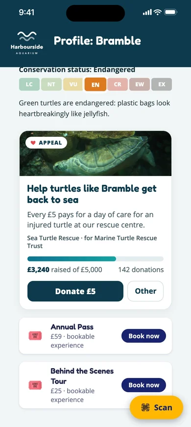 Bramble the green sea turtle's profile, with the Sea Turtle Rescue appeal: £3,240 raised of £5,000