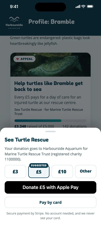 Choosing £5 to give to Sea Turtle Rescue, with Apple Pay or a card