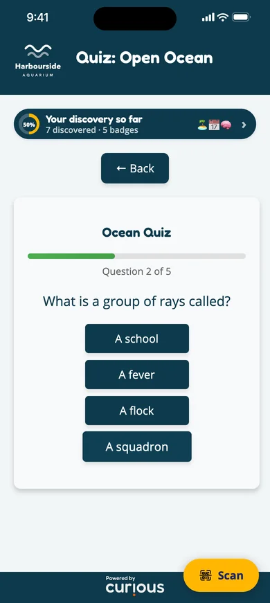An Ocean Quiz question: what is a group of rays called?