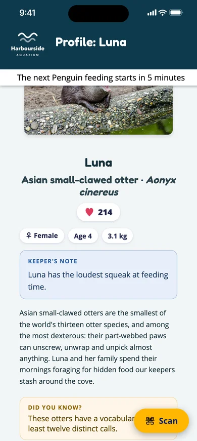 A banner on Luna's profile: the next penguin feeding starts in five minutes