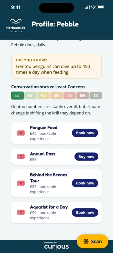 Pebble the gentoo penguin's profile: did you know, and its conservation status