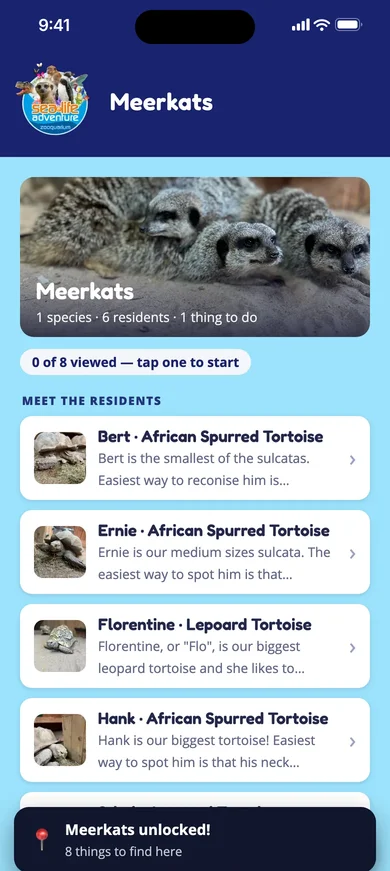 Sealife Adventure's Meerkats exhibit page, listing the tortoises Bert, Ernie, Florentine and Hank